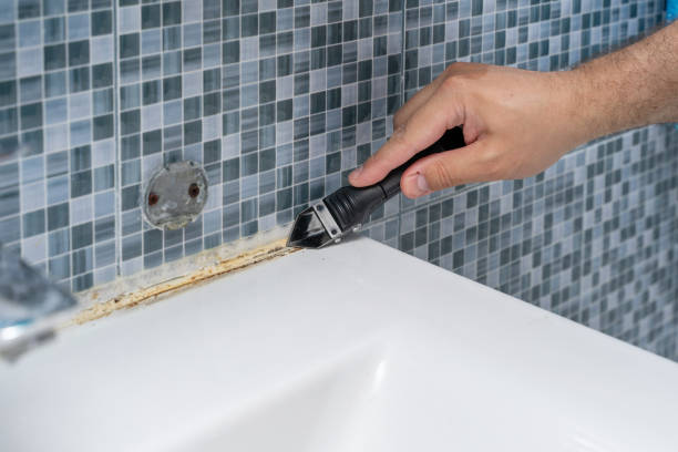 Best Toxic Mold Removal  in Hudson, CO