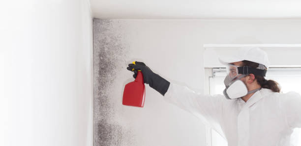 Best Residential Mold Removal  in Hudson, CO